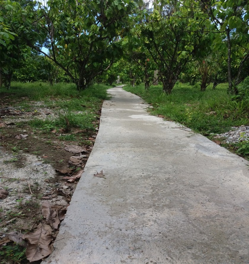 Jalan Rabat Beton Dusun II